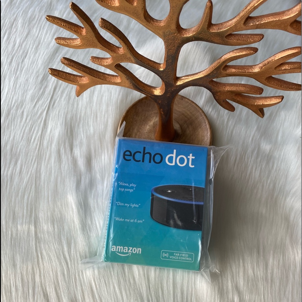 NWT Echo Dot